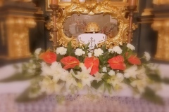 Kult św. Stanisława